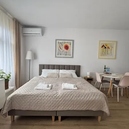 Apartament Przedzamcze Malbork Exterior photo