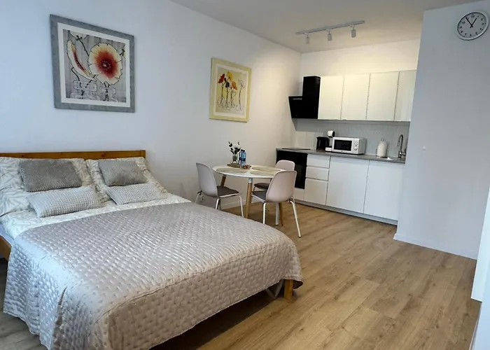 Apartament Przedzamcze Malbork