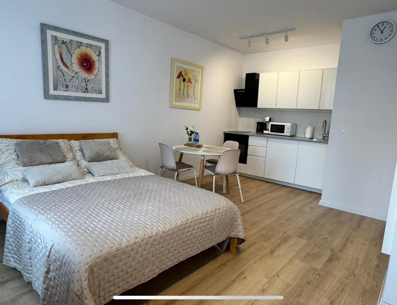 Przedzamcze Apartment *
