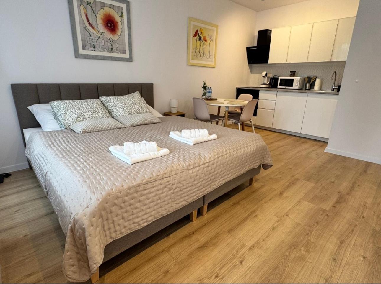 Apartment Przedzamcze Malbork